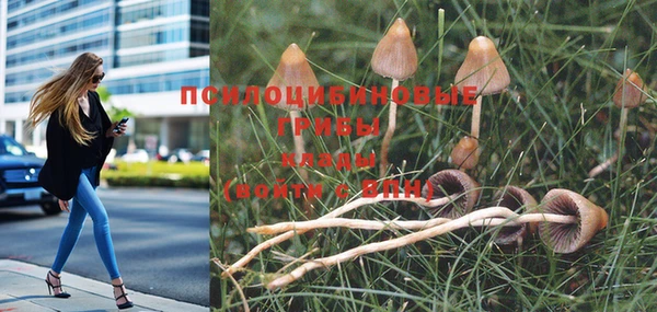 гидропоника Алексин