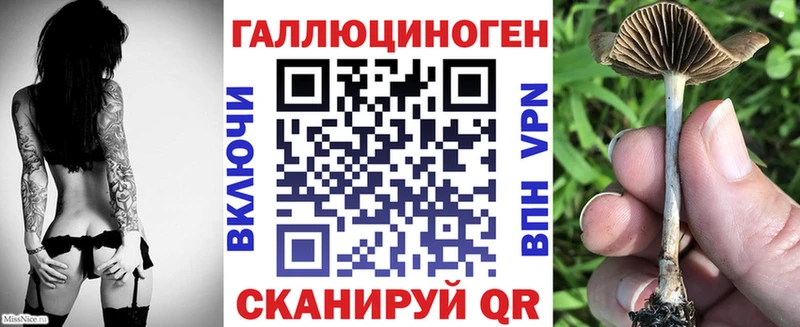 Псилоцибиновые грибы прущие грибы  Спасск 